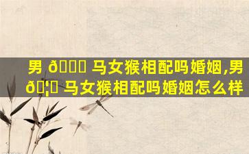 男 🐞 马女猴相配吗婚姻,男 🦉 马女猴相配吗婚姻怎么样